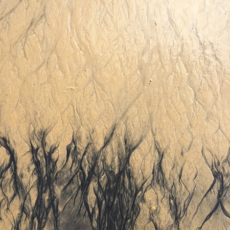 Khao lak beach, khao lak, Thailand. [Sand, Sea, Tin].