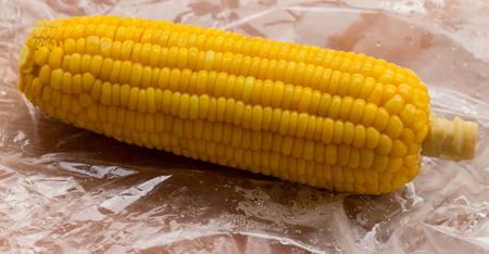 yellow corn on wooden table and nature backgroundの写真素材