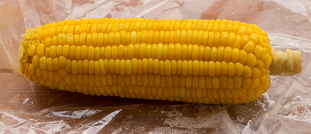 yellow corn on wooden table and nature backgroundの写真素材