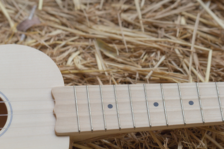 a part of light tone ukulele on straw stack backgroundの写真素材