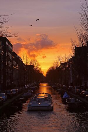 vertical canal cruise excursion covered glass top boat sunset dawn golden orange color sky clouds birds with beautiful reflection in city Amsterdam Holland Netherlands. Travel sail discover holiday.の写真素材