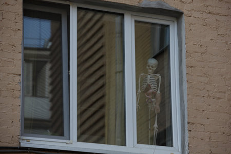 Close up day shot of a human body skeleton figure standing in the corner of a white window frame...