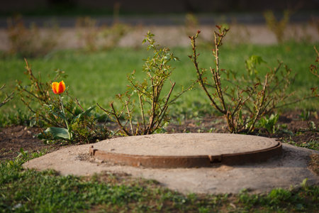 close up day shot of an old rusty concrete sewer manhole surrounded by green grass, branches and a lonely red and yellow tulip flowerの写真素材