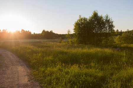 sunset country dusty road in spring panorama. Beautiful blue sky, white clouds, haze, naked trees, green grass.の写真素材