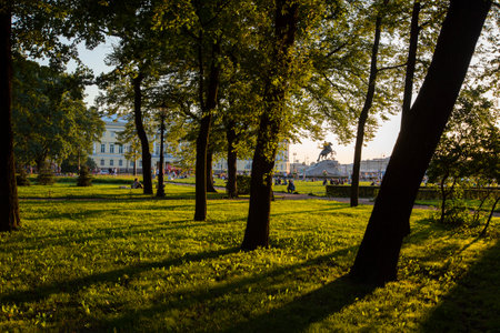 orange yellow sunset light shining through trees on green grass of a field forming contrasting black silhouettes and dramatic dark shadows. Golden hour, Alexander Garden park. Saint Petersburg, Russiaの写真素材
