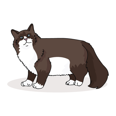 Cute snowshoe cat cartoon vector illustration motif set. Hand drawnのイラスト素材