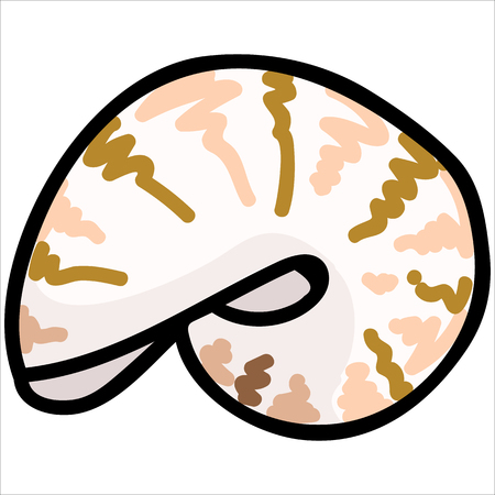 Cute beige nautilus cartoon vector illustration motif set. Hand drawn isolated marine life elements. Clipart for ocean text blog, mollusk graphic, nautilus web buttons.のイラスト素材