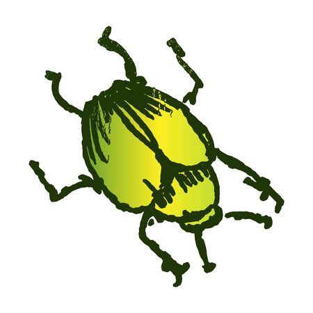 Cute cartoon green fruit beetle vector clipart. Garden pest bug. Athropod naive doodle of winged biological insect. Doodle of yard wildlife illustration. Isolated insect.のイラスト素材