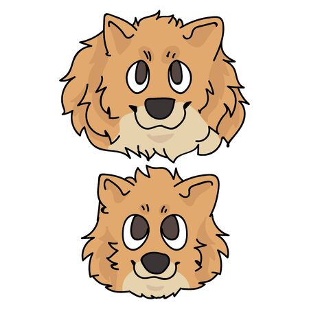 Cute cartoon pomeranian face dog and puppy breed clip art. Pedigree kennel doggie breed for dog lovers. Purebred domestic for pet parlor illustration mascot. Isolated canine fluffy spitz.のイラスト素材
