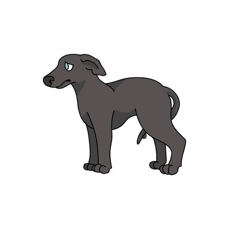 Cute cartoon greyhound puppy breed vector clipart. Pedigree kennel racing hound for dog lovers. Purebred domestic pooch for pet parlor illustration. Isolated fast canine. EPS 10.のイラスト素材
