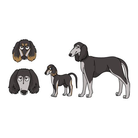 Cute cartoon saluki dog and puppy set breed vector clipart. Pedigree kennel doggie breed for dog lovers. Purebred domestic for pet parlor illustration mascot. Isolated canine borzoi hound. EPS 10.のイラスト素材