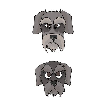 Cute cartoon schnauzer dog and puppy face vector clipart. Pedigree kennel doggie for dog lovers. Purebred domestic terrier for pet parlor illustration mascot. Isolated canine English hunting breed.のイラスト素材