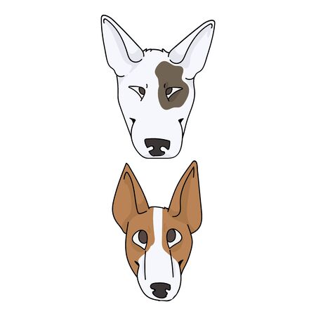 Cute cartoon bull terrier dog and puppy breed face vector clipart. Pedigree kennel show dog for dog lovers. Purebred domestic pooch for pet parlor illustration. Isolated canine with snout. EPS 10.のイラスト素材