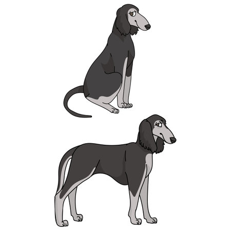 Cute cartoon Saluki dog vector clipart. Pedigree borzoi dog for kennel club. Purebred domestic sighthound puppy training for pet parlor illustration mascot. isolated canine breed.のイラスト素材