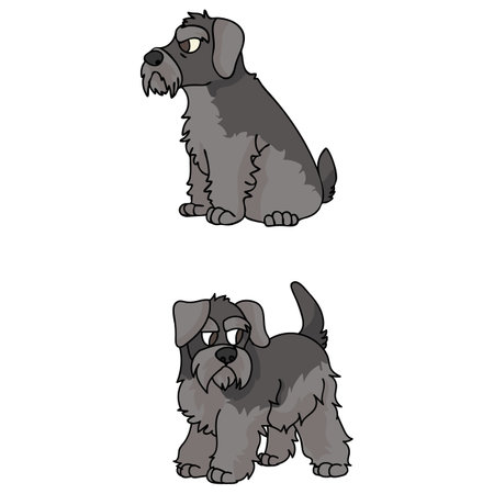 Cute cartoon Schnauzer puppy vector clipart. Pedigree kennel doggie breed for kennel club. Purebred domestic dog training for pet parlor illustration mascot. Isolated canine breed.のイラスト素材