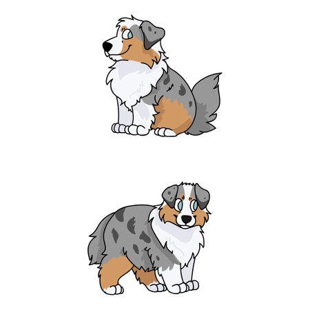 Cute cartoon Australian Shepherd puppy vector clipart. Pedigree farm dog for kennel club. Purebred domestic sheepdog dog training for pet parlor illustration mascot. isolated canine breed.のイラスト素材