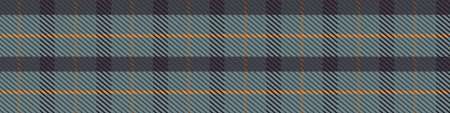 Seamless background gingham fabric gender neutral border. Simple traditional highland flannel print...