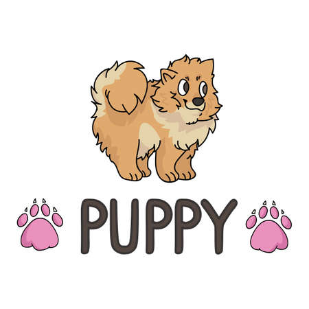 Cute cartoon pomeranian puppy with text word and paw print vector clipart. Pedigree kennel doggie breed for dog lovers. Purebred dog for pet parlor illustration. Isolated spitz hound.のイラスト素材