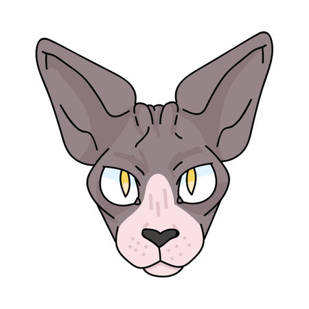 Cute cartoon sphynx cat face vector clipart. Pedigree exotic kitty breed for cat lovers. Purebred domestic kitten for pet parlor illustration mascot. Isolated hairless feline housecat.のイラスト素材