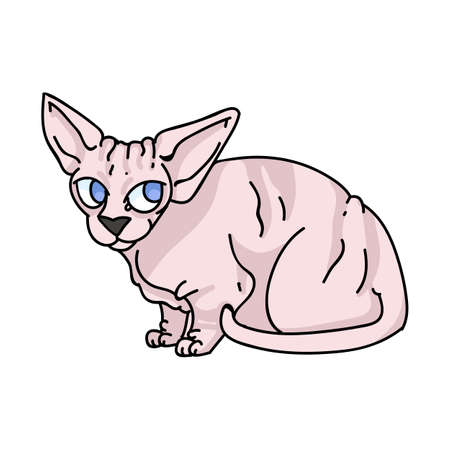 Cute cartoon sphynx kitten vector clipart. Pedigree exotic kitty breed for cat lovers. Purebred domestic cat for pet parlor illustration mascot. Isolated hairless feline housecat.のイラスト素材