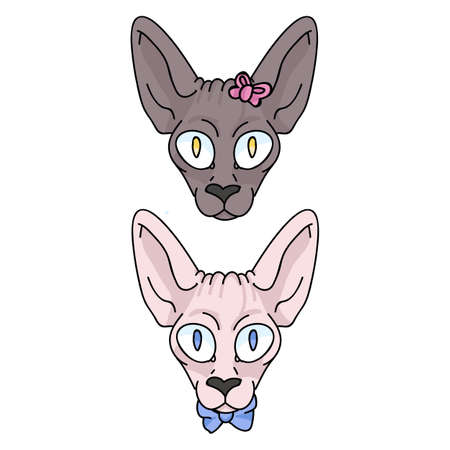 Cute cartoon sphynx face kitten boy and girl vector clipart. Pedigree exotic kitty breed for cat lovers. Purebred domestic cat for pet parlor illustration mascot. Isolated hairless feline housecat.のイラスト素材