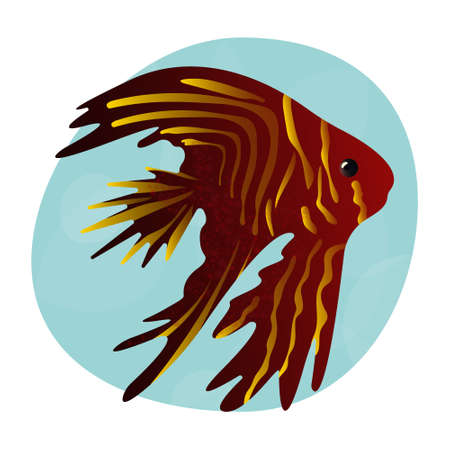 Beautiful realistic tropical betta fish. Sea fish with a long and lush tail fin. Cool print for clothes, cups, plates, goodsのイラスト素材