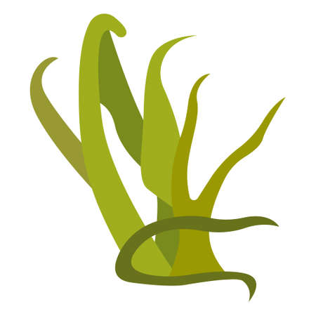 Wild sea green algae. The basic component of the diet of Arctic polar animals. Simple flat icon, element, clipart, item. Ingredient for healthy meals, medicines, cosmetics, care and hygiene. Seaweedのイラスト素材