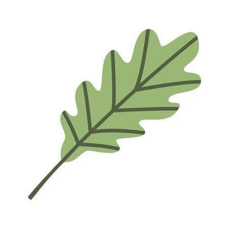 Cute green oak leaf. Autumn flat icon. Clipart of fallen leaves for design of greeting cards, posters, banners, flyers. Harvest day, Thanksgiving object. Seasonal element. Autumnal item.のイラスト素材