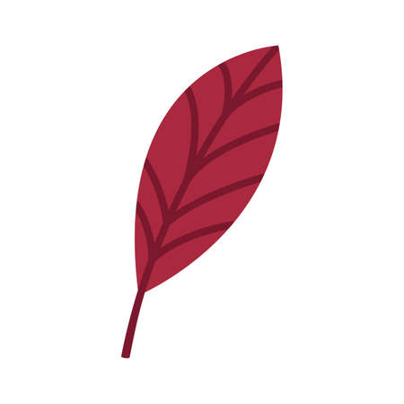 Reddened leaf of a walnut tree. Autumn element, clipart, object, item for graphic design. Cute red fallen leaves. Traditional autumnal season sign. Decor for card, banner, poster for Thanksgiving.のイラスト素材