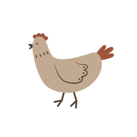 Cute cartoon chicken in doodle style. Farm poultry. Funny domestic animal. Simple flat icon. Illustration for food packaging design, children's educational books and games. Livestock item.のイラスト素材