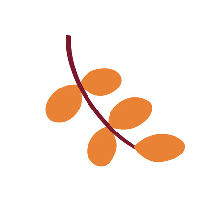 Autumn orange leaf. Simple cute clipart for seasonal design. A fallen branch of acacia. Decorative element for the harvest festival, Halloween, Thanksgiving.のイラスト素材