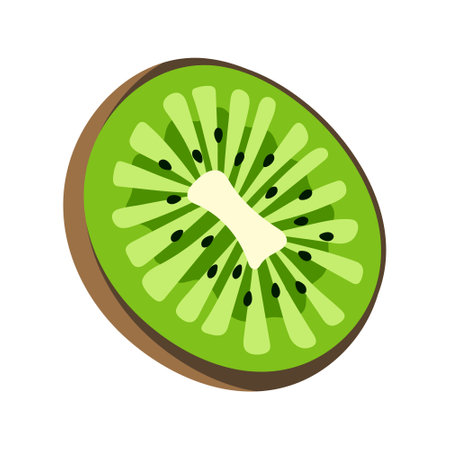 Kiwi simple illustration. Ripe juicy fruit. Bright cartoon vector flat clipartのイラスト素材