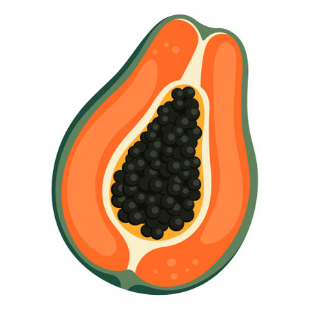 Papaya simple illustration. Ripe juicy fruit. Bright cartoon vector flat clipartのイラスト素材