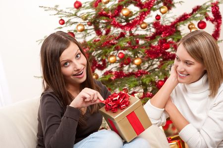 Two women unpacking Christmas present in front of treeの写真素材