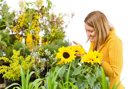Gardening - portrait of woman with sunflowers on white backgroundの写真素材