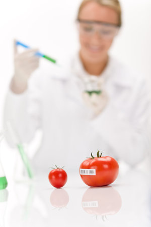 Genetic engineering - scientist in laboratory, GMO testing experimentの写真素材