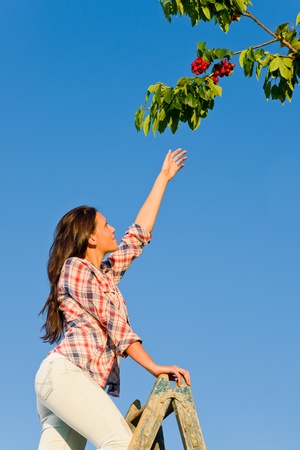 Young woman reaching high cherry branch tree summer blue skyの写真素材