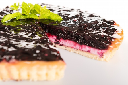 Blueberry pie fresh creamy cottage cheese dessert baked tartの写真素材