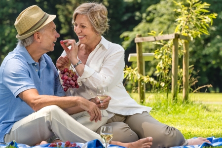 Smiling pensioner couple picnicking in the park sunny dayの写真素材