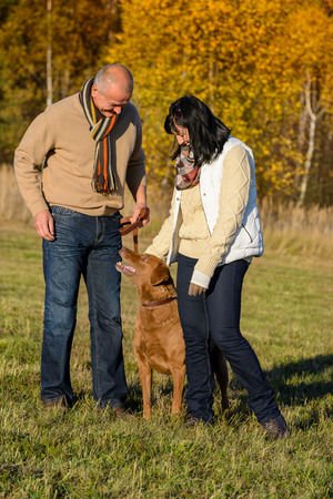 Mature couple training retriever dog in autumn sunny parkの写真素材