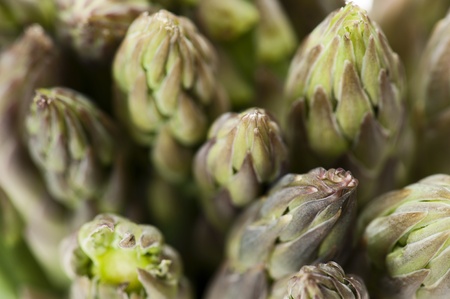 asparagus spikes, close-upの写真素材