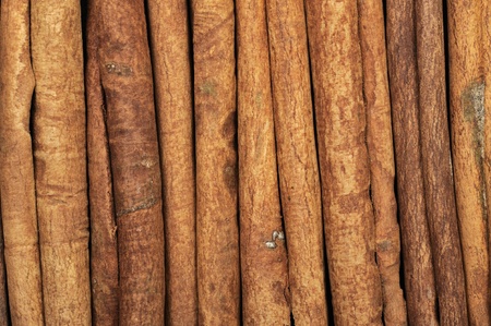 row of cinnamon sticks as a backgroundの写真素材