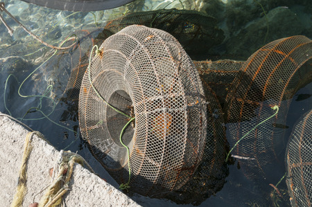 fishing nets in the form of a round cage in waterの写真素材