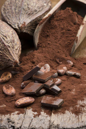 cocoa pods with cocoa beans, cocoa powder and chocolate block on wooden tableの写真素材