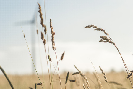 fieldの写真素材