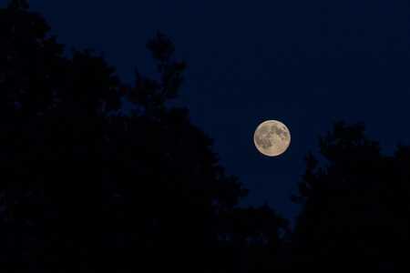 supermoon 2014の写真素材