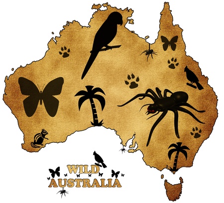 Wild Australiaの写真素材