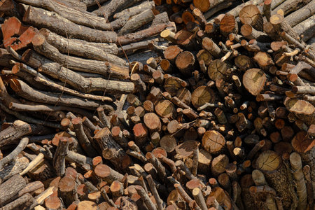 wooden logs of different sizes tied and stacked