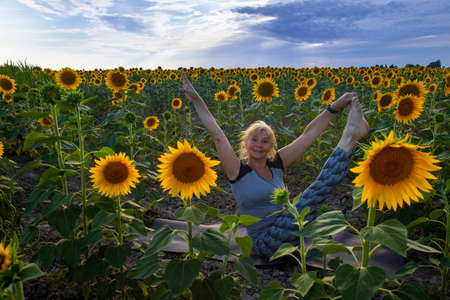 An elderly beautiful woman is engaged in yoga figures on the background of a field of sunflowerの写真素材