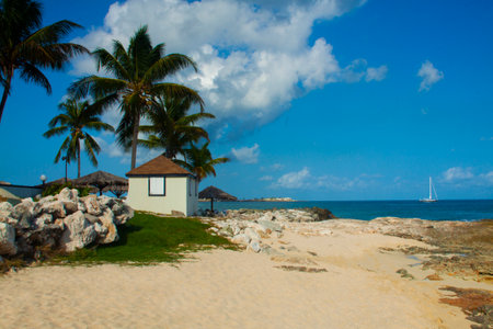 small white house on the beach on the island caribbean sea, palm trees and yellow sandの写真素材
